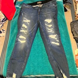 Torrid. Size 18R. Premium Stretch.